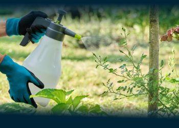 PAN quer “Concelho Promotor da Biodiversidade”