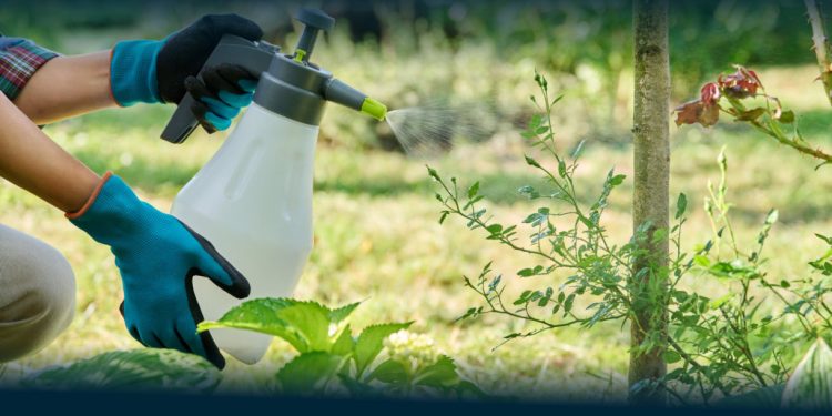 PAN quer “Concelho Promotor da Biodiversidade”