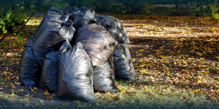 Vila Verde contrato de recolha de lixo