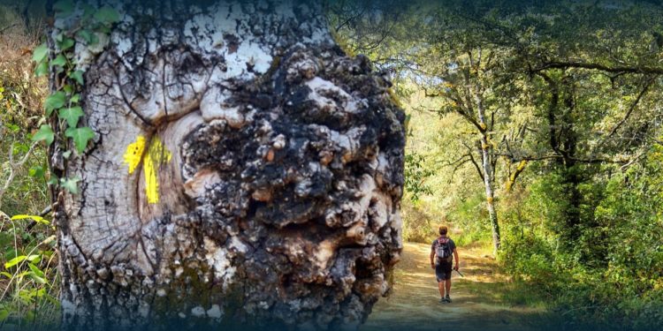 Terras de Bouro premiada na Galiza