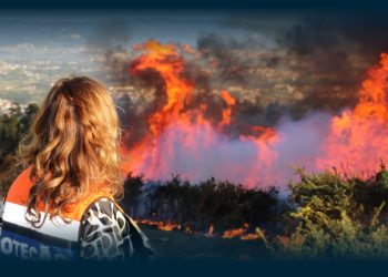 Vila Verde: Prevenção com operações de fogo controlado