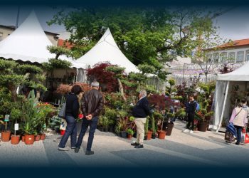 Mau tempo obriga a ADIAR Desfile Batalha das Flores