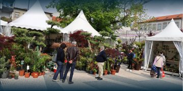Mau tempo obriga a ADIAR Desfile Batalha das Flores