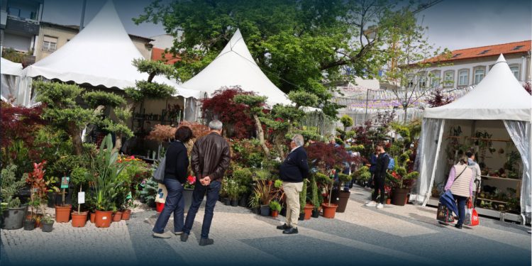 Mau tempo obriga a ADIAR Desfile Batalha das Flores