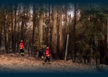 Famalicão Reforça Apoio aos Bombeiros e Cruz Vermelha