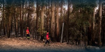 Famalicão Reforça Apoio aos Bombeiros e Cruz Vermelha