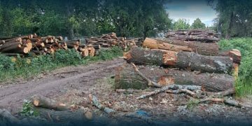 PAN Famalicão exige esclarecimentos