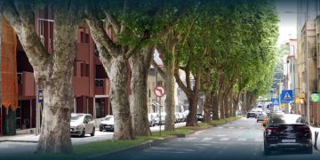 Trânsito condicionado na Avenida 25 de Abril