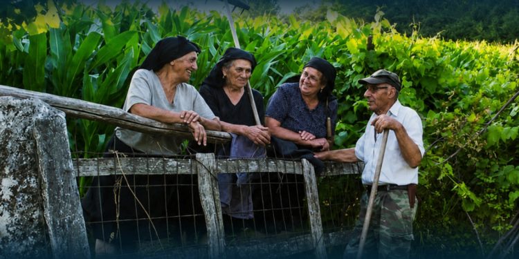 Festival LÍNGUA regressa a Barcelos