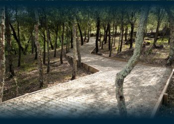 Parque de São Miguel-o-Anjo abre portas em julho