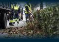 Famalicão reforça limpeza e manutenção