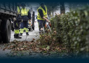Famalicão reforça limpeza e manutenção