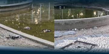 Abandono no Parque 1.º de Maio
