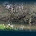 Rio Pelhe: O Futuro do Coração Verde de Famalicão