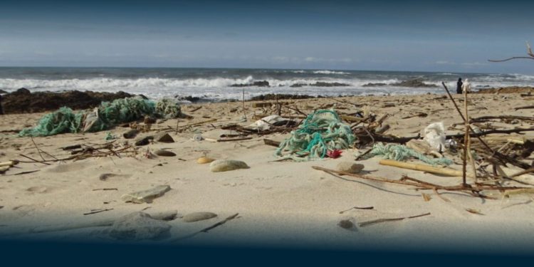 Mar de Plástico: Lixo nas Praias Portuguesas