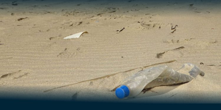 Mar de Plástico: Lixo nas Praias Portuguesas