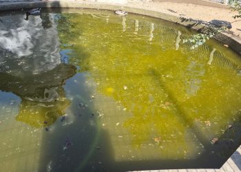 Município avança com limpeza urgente