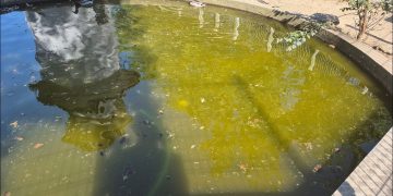 Município avança com limpeza urgente