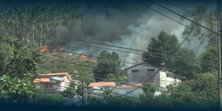 Incêndio em Mato Mobiliza Quatro Meios Aéreos