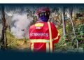 Incêndios em Famalicão: PS manifesta solidariedade