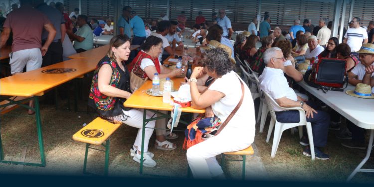 RIBEIRÃO: Tradição em Três Dias de Celebração