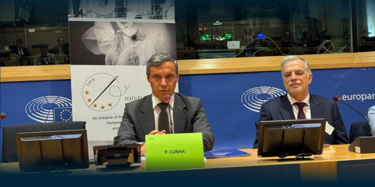 Paulo Cunha: Dois anos no Parlamento Europeu