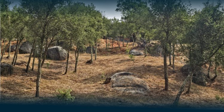 Famalicão inaugura Parque de São Miguel-o-Anjo