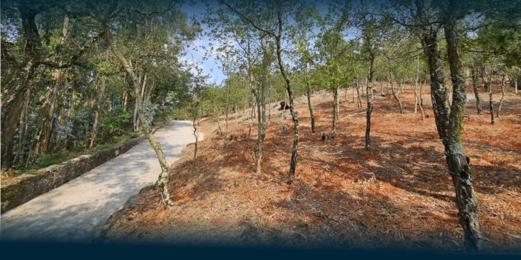 Famalicão inaugura Parque de São Miguel-o-Anjo