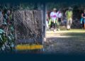 Santo Tirso promove Caminhada das Vindimas