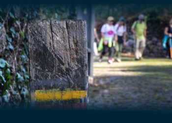 Santo Tirso promove Caminhada das Vindimas