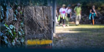 Santo Tirso promove Caminhada das Vindimas