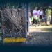 Santo Tirso promove Caminhada das Vindimas