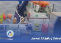 Novos Stocks de Sardinha no Atlântico