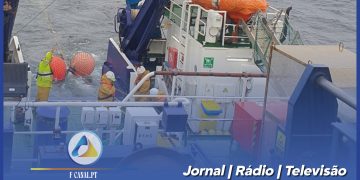 Novos Stocks de Sardinha no Atlântico