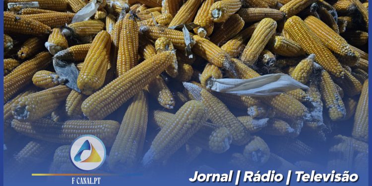 Cabanelas Junta Tradição e Solidariedade