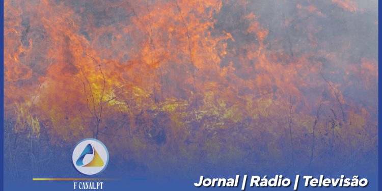 Incêndio em São Mamede do Coronado