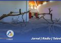 Centro de Arte Alberto Carneiro