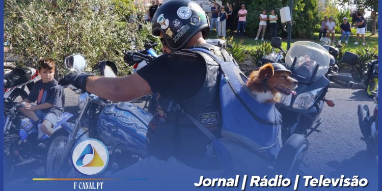 Freguesia de Bairro une comunidade