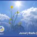 Subida das temperaturas máximas