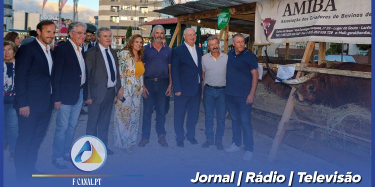 Festa das Colheitas decorre em Vila Verde