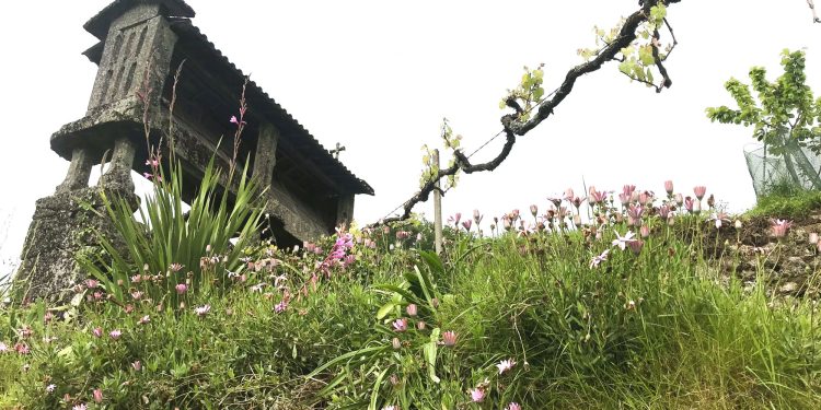 Vila Verde acolhe Conferência Nacional