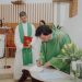 Paróquia de Lemenhe acolhe novo pároco