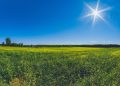 Próximos Dias Com Sol