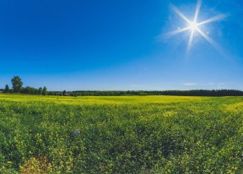 Próximos Dias Com Sol