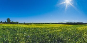 Próximos Dias Com Sol