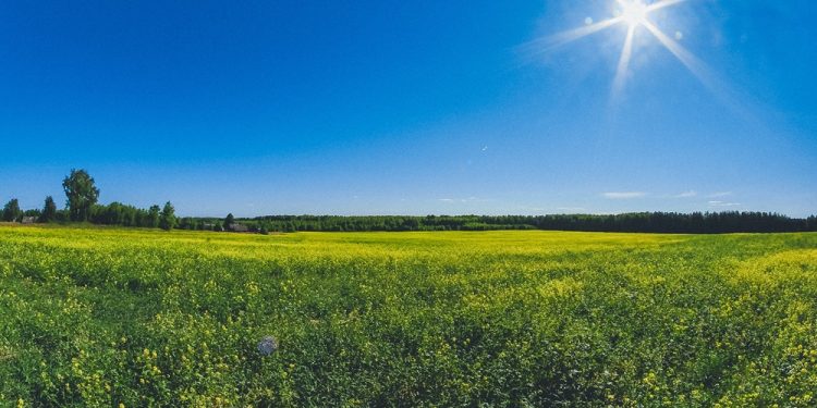 Próximos Dias Com Sol